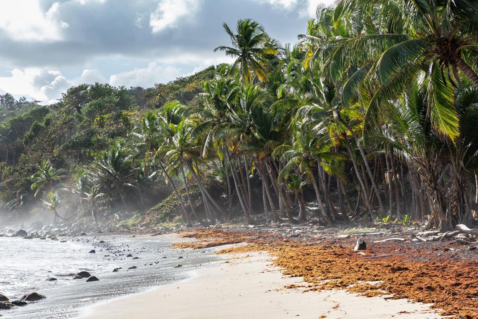 Maison D'O Baie De Saint-Jacques, Sur Une Plage Sauvage Sainte Marie Bagian luar foto