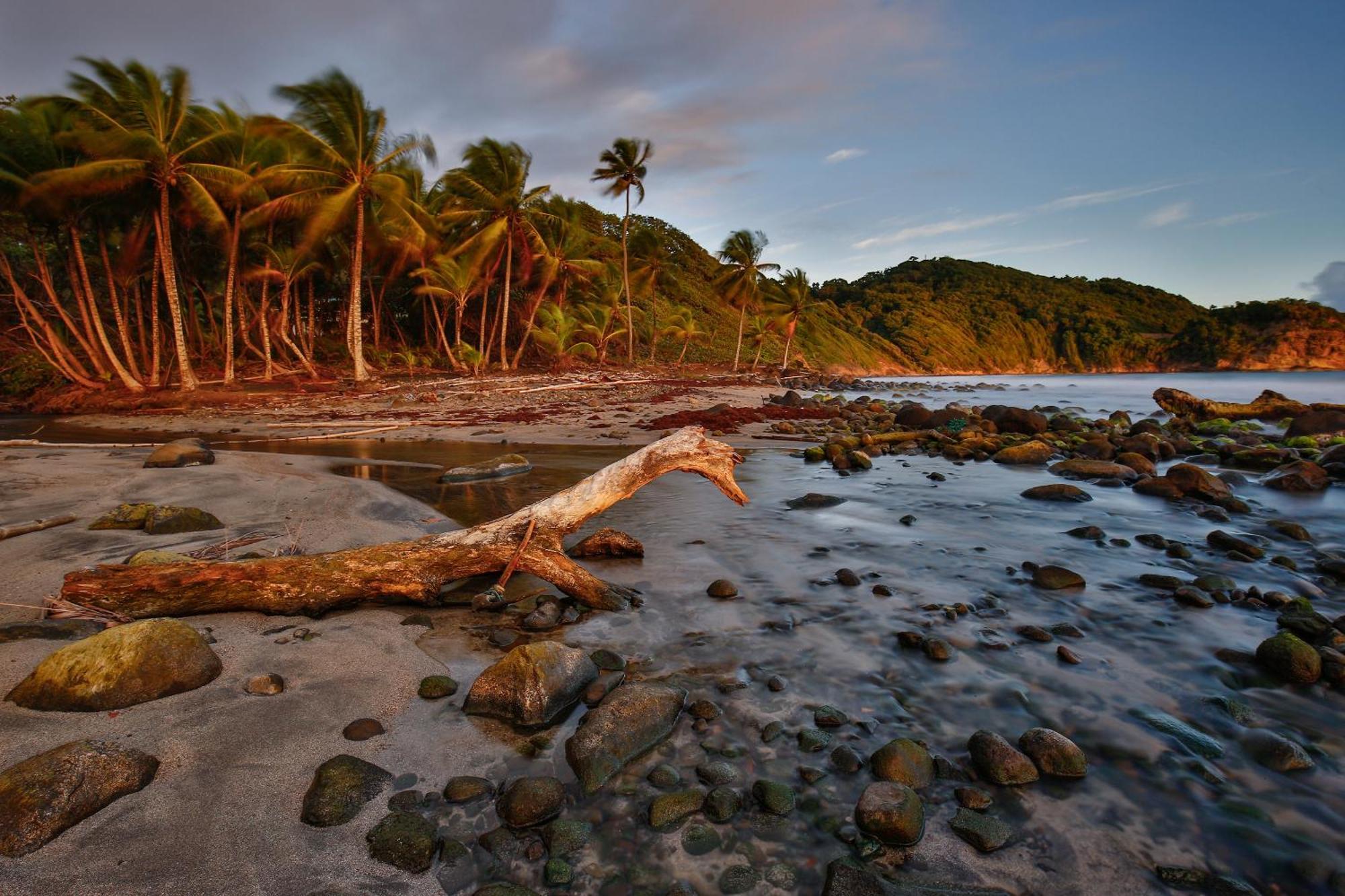 Maison D'O Baie De Saint-Jacques, Sur Une Plage Sauvage Sainte Marie Bagian luar foto